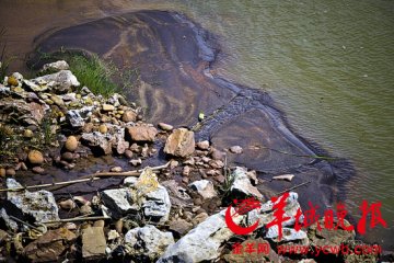 贺江污染责任人已跑路 两广交界水质达标至少7天后