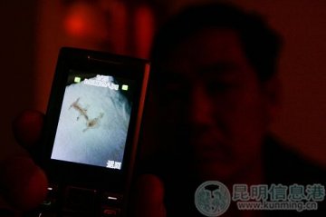 老师酒后抢救无效猝死 病床枕头遗留血字