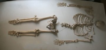 探访阴森“人骨仓库”