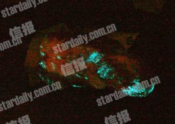 鲜猪肉凌晨发出白光 专家称其含磷