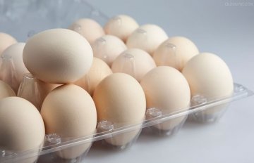 三餐鸡蛋减肥法 一月减重18斤
