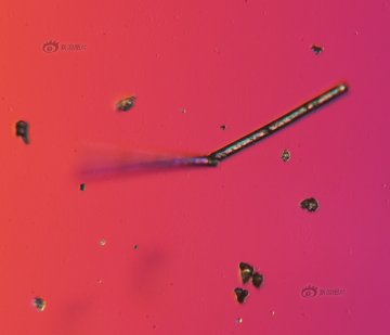 实拍放大千倍的北京霾颗粒