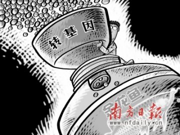 《粮食法》：禁止擅用转基因并非不能用