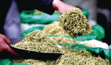 药典收录药物1年可卖一个亿：厂商削尖脑袋想进