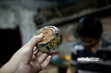 黑作坊里发霉的月饼