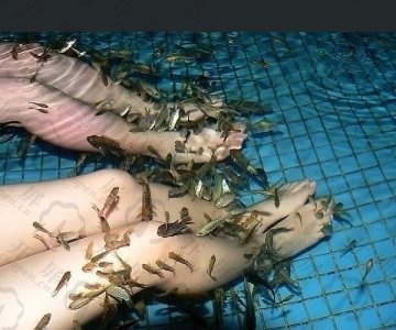 享受全球另类销魂按摩推拿