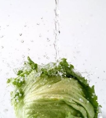 警惕！这10种家常食物可能是“有毒食品”
