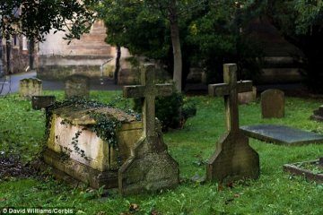 美化学学会发视频揭秘人体死后化学变化