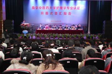 教育部护理学专业认证专家组对我校护理学专业进行认证