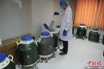 探访吉林精子库:八成为学生 合格率25%
