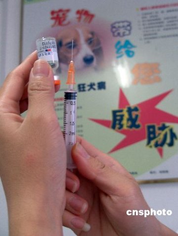北京每月上万人因被狗咬伤接种狂犬病疫苗