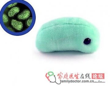 流行性感冒病毒(Flu)