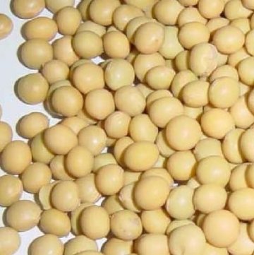 10种能防癌症的“超级”食物