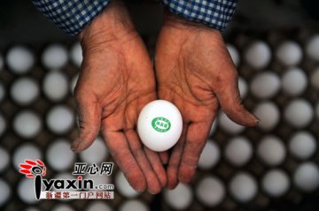 普通鸡蛋贴上标签变身精品蛋 主销超市商店