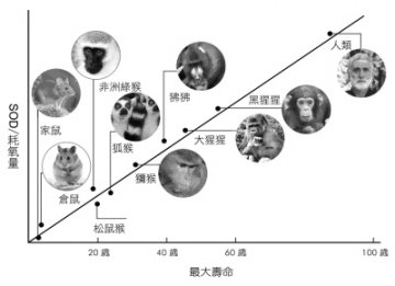 推迟衰老不是梦
