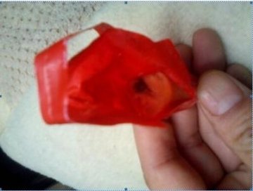 双汇王中王火腿肠吃出异物