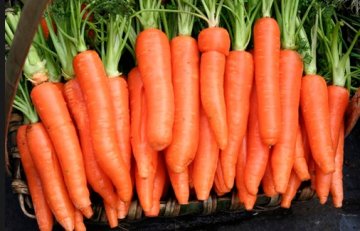 夏季养生：19种排毒功效最强的家常菜