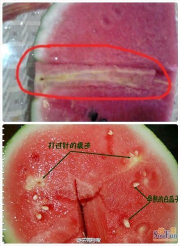 专家释疑毒针注射西瓜：不可能被注水