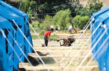 在困境中不屈奋起――灾区人民顽强拼搏抗击灾害纪事