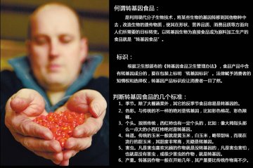 如何分辨转基因食品