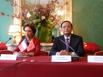 王国强出席中法中医药合作委员会第五次会议