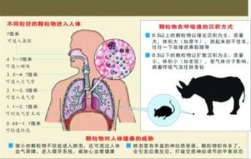 谁是PM2.5中的头号健康隐患 0.25-0.50微米危害最大