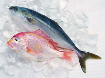 饮食养生：这25种家常食物竟是“抗衰老明星”