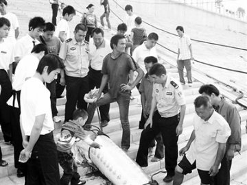 湖北渔民江中捞出15岁中华鲟尸体