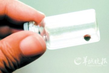 羊城晚报：河南商城成蜱虫“重灾区” 疑媒体过度炒作