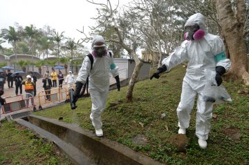 港府测试登革热应变力