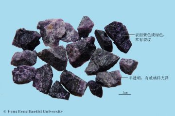 紫石英（Zishiying）中药材鉴别相册