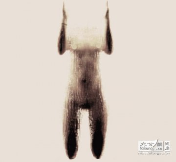 人体探秘：女性裸体与解剖学之美