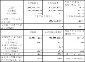 丰原生物化学2007年第三季度报告（节录）