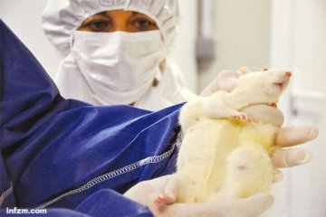 “转基因玉米致癌试验”研究者有话说