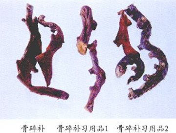 骨碎补（Gusuibu）Rhizoma Drynariae