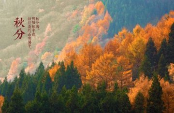 秋燥咳嗽患者增多 不同体质需辩证用药