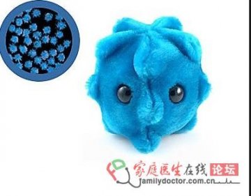 外貌很多变的普通感冒病毒(Common Cold)
