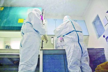 粤登革热破四万例