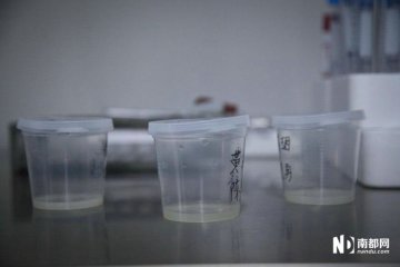 杯内盛放着刚取出的精液
