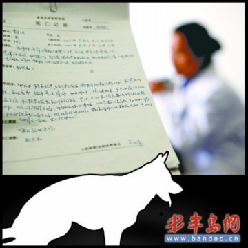 七旬老人收养流浪狗被咬伤 狂犬病发作身亡