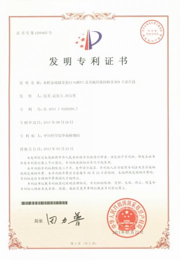 研究发现水稻应答镉胁迫关键基因