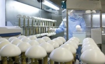 该公司生产数字仿真的乳房硅胶植入物