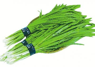 南京现蓝矾韭菜 专家称淘米水浸泡能有效除农药