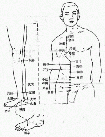 肾经