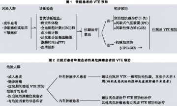 VTE共识达成，100%预防不可少