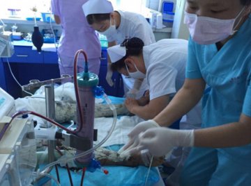 北京朝阳急诊救治中心驰援天津 民营医院践行社会责任