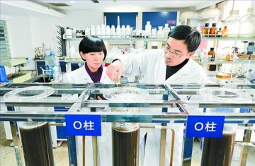 河北引入现代生物技术 小细菌吃掉半数毒污泥