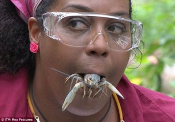 世上最挑战勇气实验 美女主持人生吞活昆虫