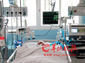 儿意外脑死亡，父签字捐器官 三名患者受惠
