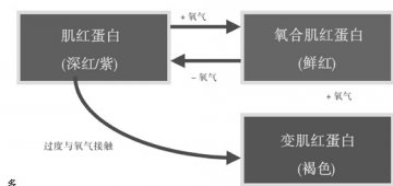 冷鲜肉品真空收缩保鲜包装